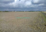 Morizon WP ogłoszenia | Działka na sprzedaż, Domaniewek, 8400 m² | 7764
