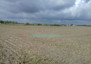 Morizon WP ogłoszenia | Działka na sprzedaż, Domaniewek, 8400 m² | 7764