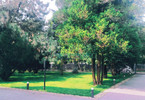 Morizon WP ogłoszenia | Dom na sprzedaż, Magdalenka, 395 m² | 7505