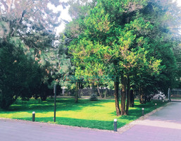 Morizon WP ogłoszenia | Dom na sprzedaż, Magdalenka, 395 m² | 7505