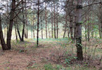 Morizon WP ogłoszenia | Działka na sprzedaż, Zimna Woda, 13700 m² | 4384