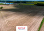 Morizon WP ogłoszenia | Działka na sprzedaż, Radostowo, 7870 m² | 9826