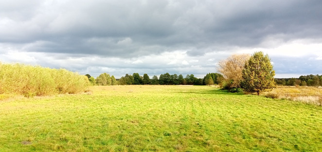 Morizon WP ogłoszenia | Działka na sprzedaż, Izabelin, 1000 m² | 2546