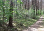 Morizon WP ogłoszenia | Działka na sprzedaż, Redlanka Myśliwska, 11200 m² | 1588