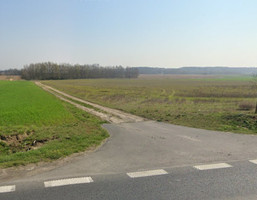 Morizon WP ogłoszenia | Działka na sprzedaż, Mrowino Poznańska, 64077 m² | 8880