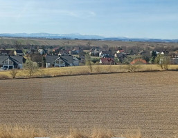 Morizon WP ogłoszenia | Działka na sprzedaż, Mników, 1000 m² | 4251